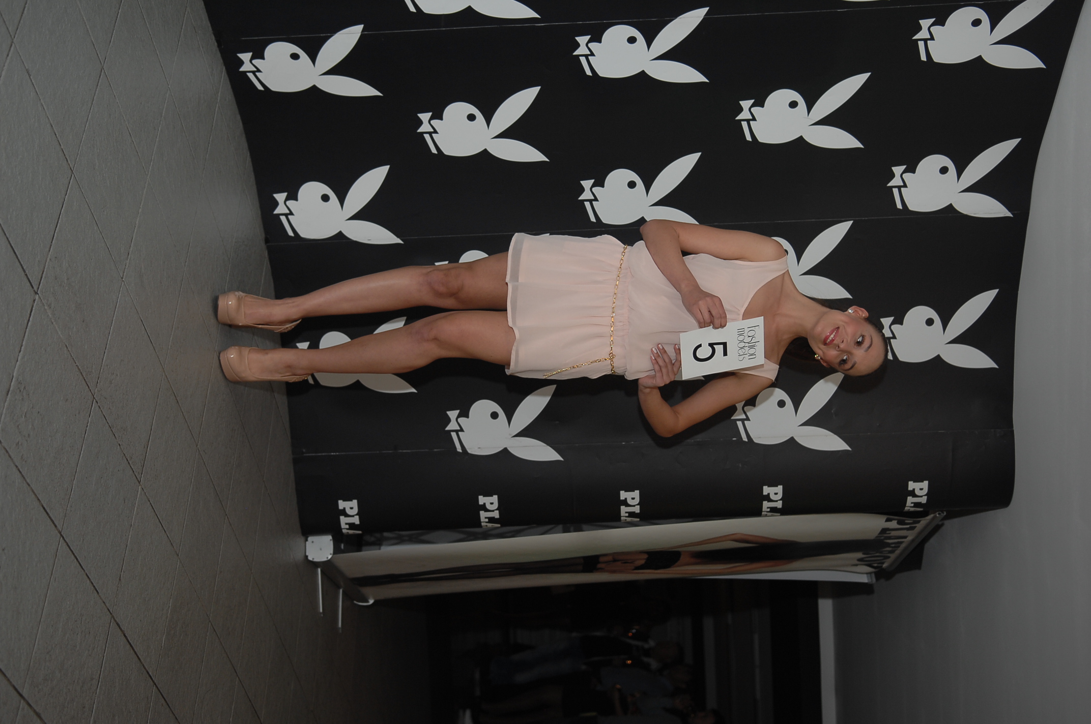 galerie: Playboy akce