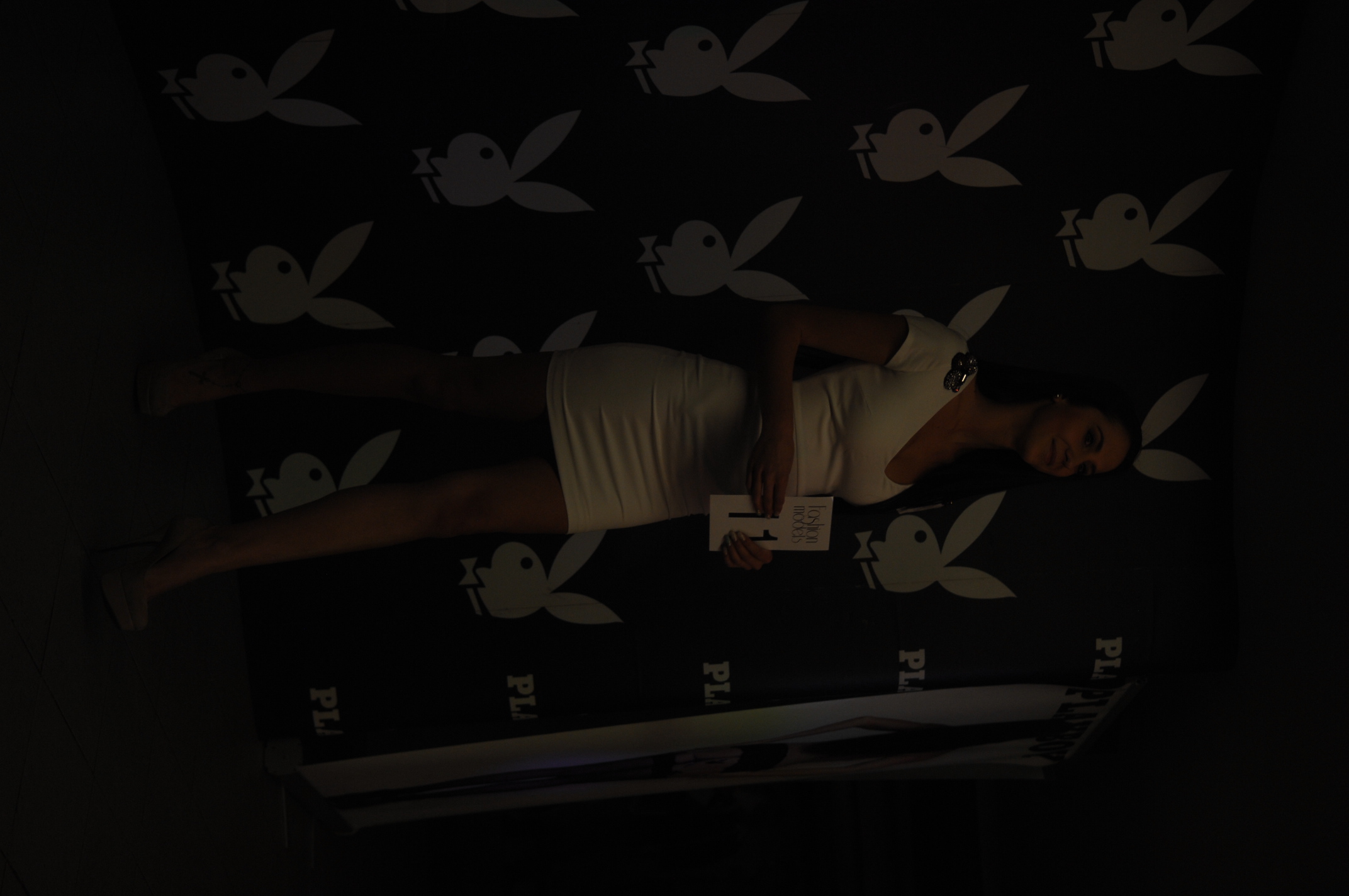 galerie: Playboy akce